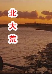 完结完整版观看