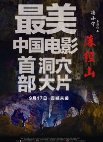 手机在线观看