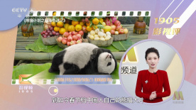 BD国语电影免费在线